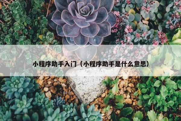小程序助手入门（小程序助手是什么意思）