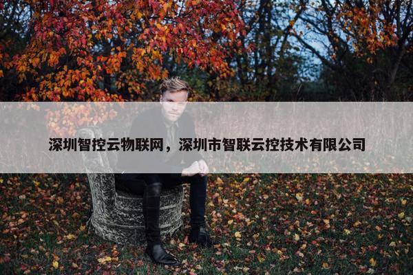 深圳智控云物联网，深圳市智联云控技术有限公司