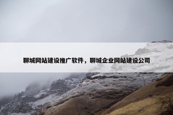 聊城网站建设推广软件，聊城企业网站建设公司
