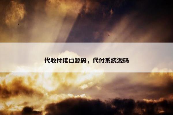 代收付接口源码，代付系统源码