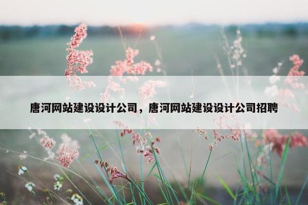 唐河网站建设设计公司，唐河网站建设设计公司招聘