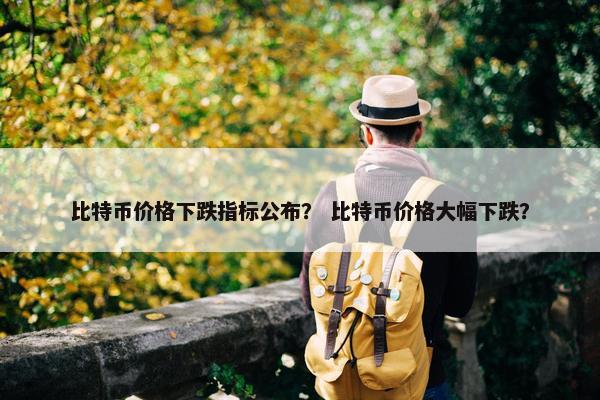 比特币价格下跌指标公布？ 比特币价格大幅下跌？