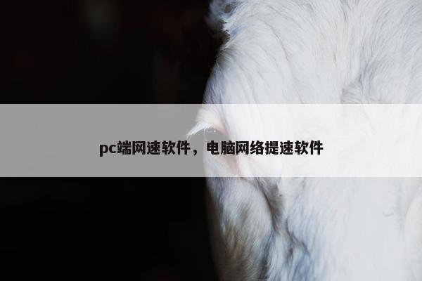 pc端网速软件，电脑网络提速软件