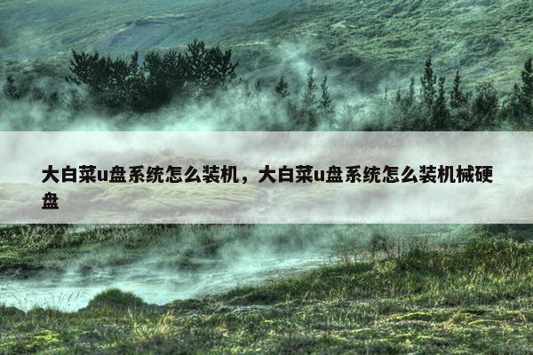 大白菜u盘系统怎么装机，大白菜u盘系统怎么装机械硬盘
