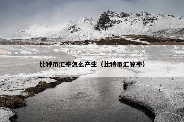 比特币汇率怎么产生（比特币汇算率）