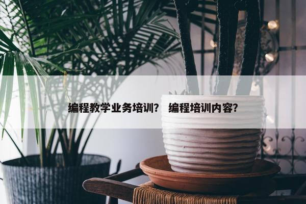 编程教学业务培训？ 编程培训内容？
