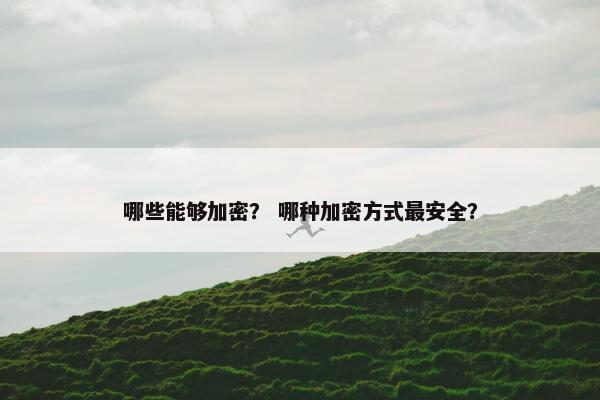 哪些能够加密？ 哪种加密方式最安全？