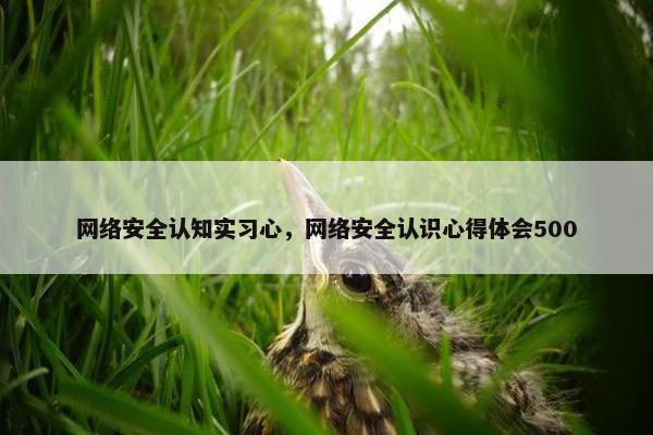网络安全认知实习心，网络安全认识心得体会500