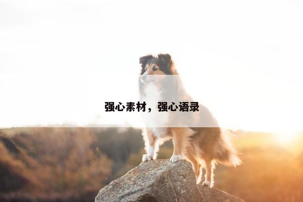 强心素材，强心语录
