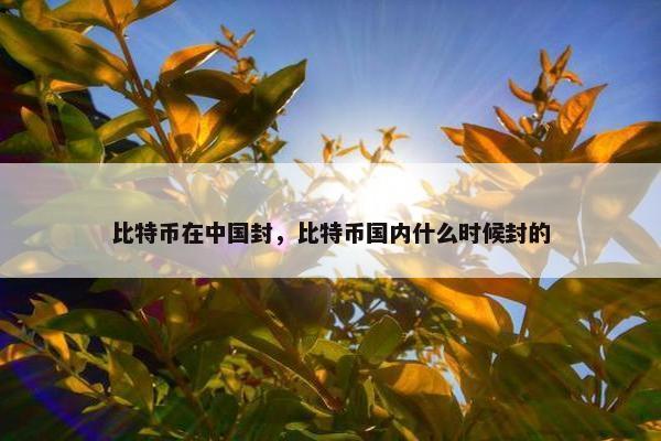 比特币在中国封，比特币国内什么时候封的