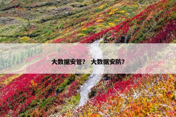 大数据安管？ 大数据安防？