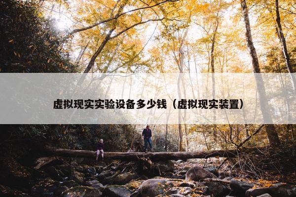 虚拟现实实验设备多少钱（虚拟现实装置）