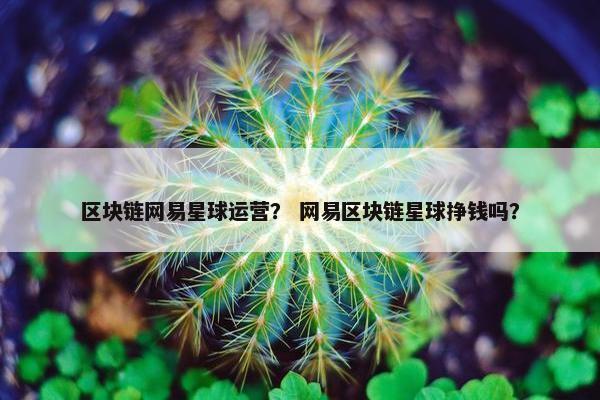 区块链网易星球运营？ 网易区块链星球挣钱吗？