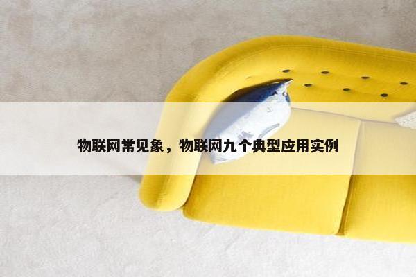物联网常见象，物联网九个典型应用实例