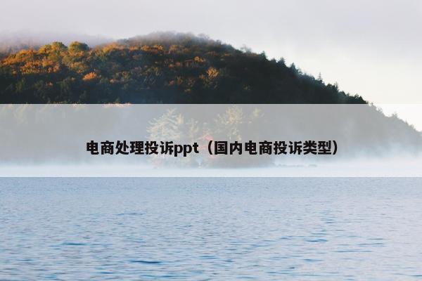 电商处理投诉ppt（国内电商投诉类型）
