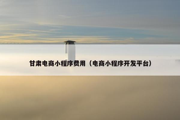 甘肃电商小程序费用（电商小程序开发平台）