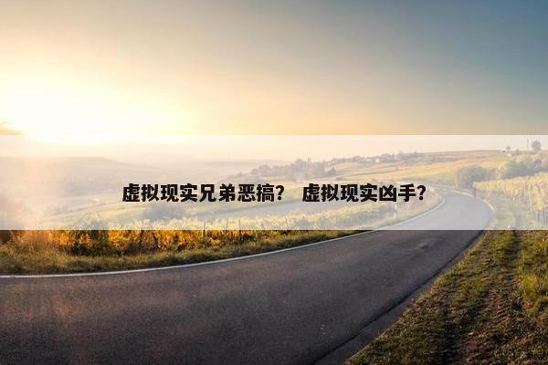 虚拟现实兄弟恶搞？ 虚拟现实凶手？