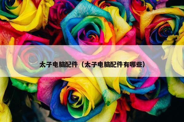 太子电脑配件（太子电脑配件有哪些）