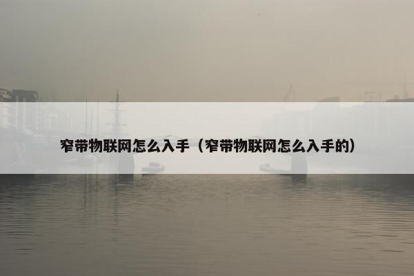 窄带物联网怎么入手（窄带物联网怎么入手的）