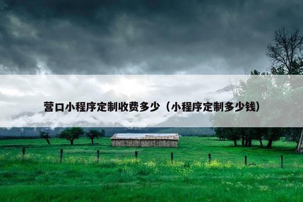 营口小程序定制收费多少（小程序定制多少钱）