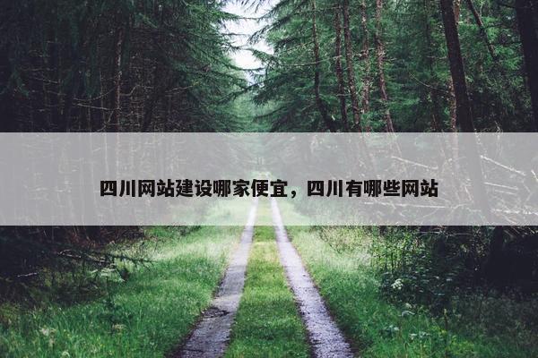 四川网站建设哪家便宜，四川有哪些网站