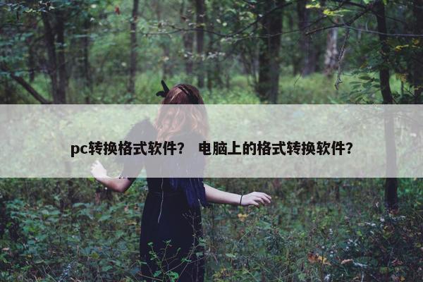 pc转换格式软件？ 电脑上的格式转换软件？