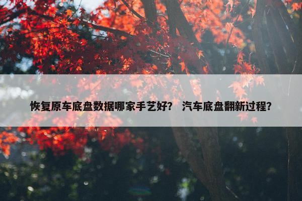 恢复原车底盘数据哪家手艺好？ 汽车底盘翻新过程？