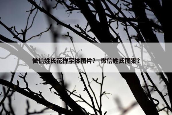微信姓氏花样字体图片？ 微信姓氏图案？