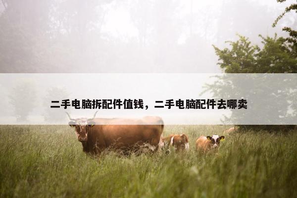 二手电脑拆配件值钱，二手电脑配件去哪卖
