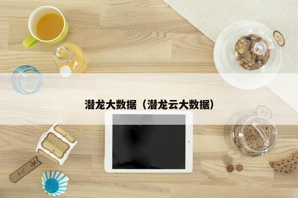 潜龙大数据（潜龙云大数据）