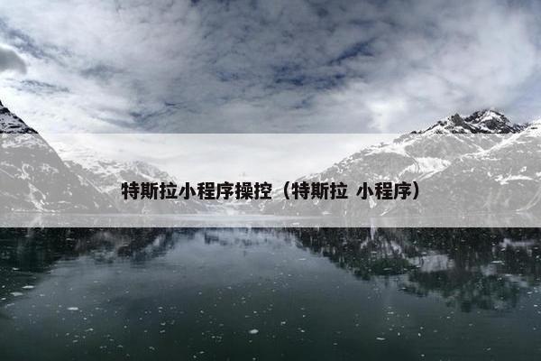 特斯拉小程序操控（特斯拉 小程序）