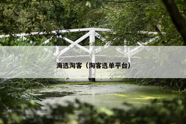 海选淘客（淘客选单平台）
