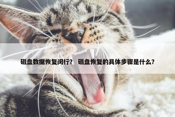 磁盘数据恢复闵行？ 磁盘恢复的具体步骤是什么？