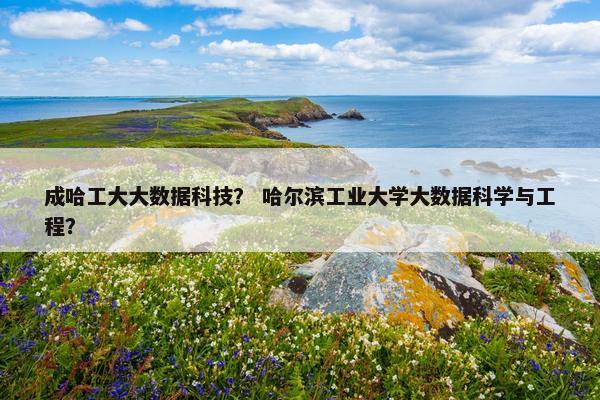成哈工大大数据科技？ 哈尔滨工业大学大数据科学与工程？