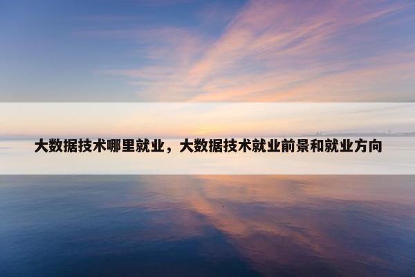大数据技术哪里就业，大数据技术就业前景和就业方向