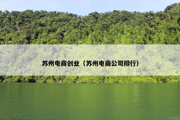 苏州电商创业（苏州电商公司排行）