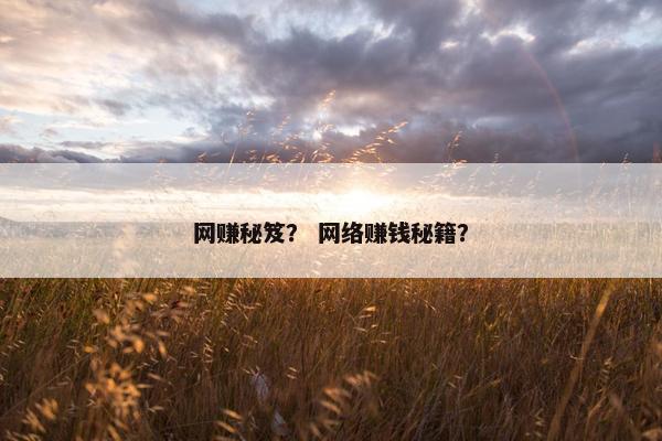 网赚秘笈？ 网络赚钱秘籍？