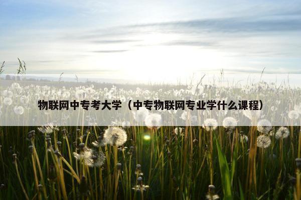物联网中专考大学（中专物联网专业学什么课程）