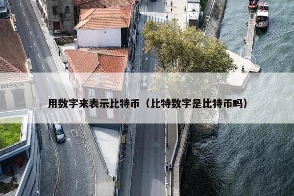 用数字来表示比特币（比特数字是比特币吗）