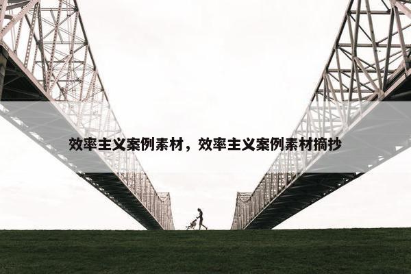 效率主义案例素材，效率主义案例素材摘抄
