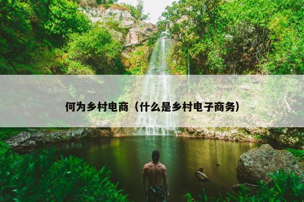 何为乡村电商（什么是乡村电子商务）