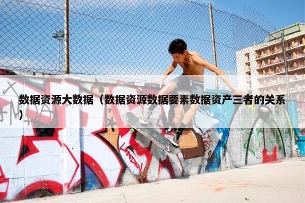 数据资源大数据（数据资源数据要素数据资产三者的关系）
