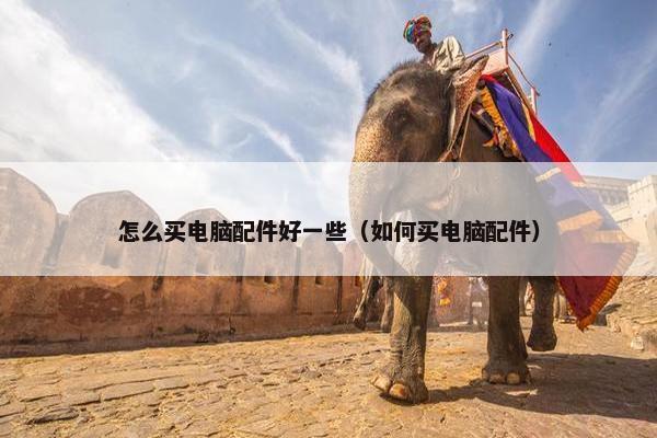 怎么买电脑配件好一些（如何买电脑配件）