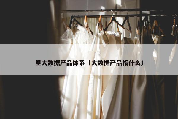 里大数据产品体系（大数据产品指什么）