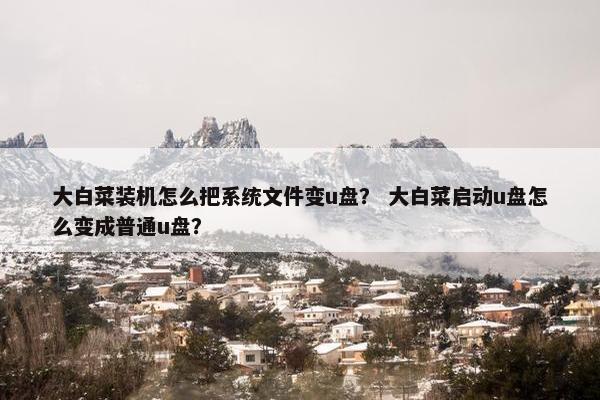 大白菜装机怎么把系统文件变u盘？ 大白菜启动u盘怎么变成普通u盘？