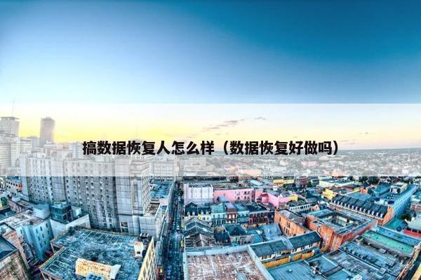 搞数据恢复人怎么样（数据恢复好做吗）