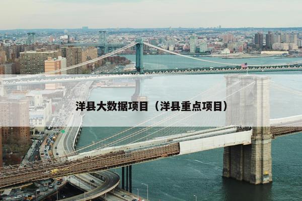 洋县大数据项目（洋县重点项目）