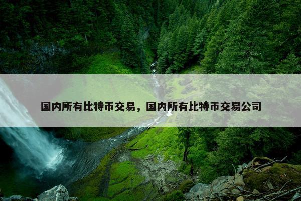 国内所有比特币交易，国内所有比特币交易公司