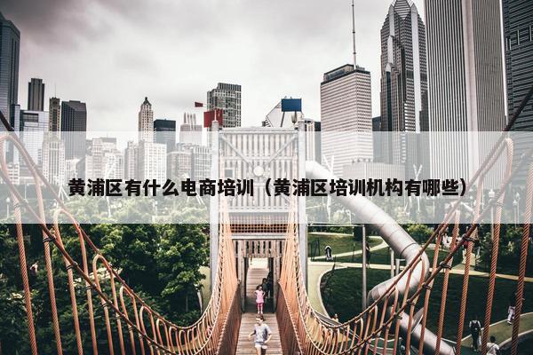 黄浦区有什么电商培训（黄浦区培训机构有哪些）