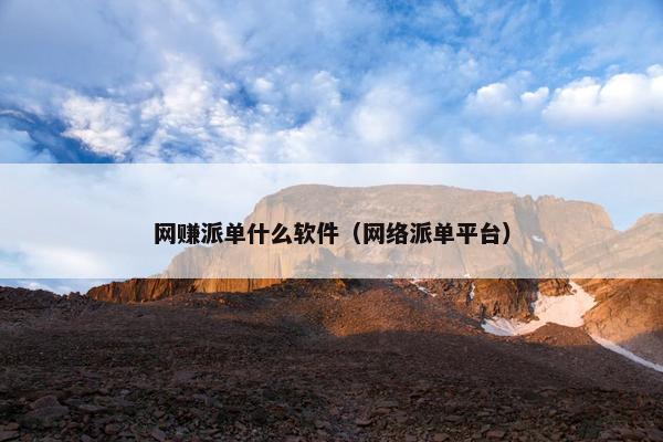 网赚派单什么软件（网络派单平台）